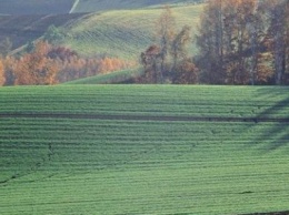 В Запорожской области незаконно отдали фермеру 100 га земли в аренду на 50 лет