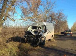 В Николаевской области перевернулся автобус, есть жертвы (фото)