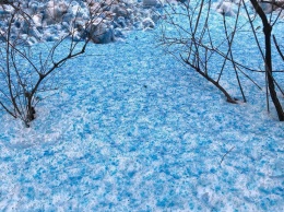 Появились фото радикально синего снега, который удивил жителей Санкт-Петербурга