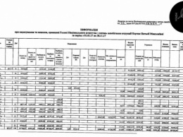 Глава НАПК за неполный год заработала 1 миллион гривен