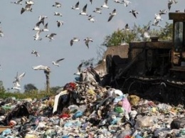 Токсичный мусорный полигон под Киевом намерены рекультивировать