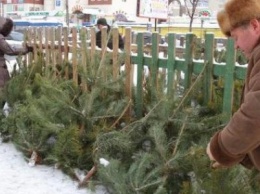 В Киеве демонтируют еще 14 нелегальных елочных базаров