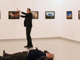 В Турции арестовали организатора выставки, на которой убили посла России