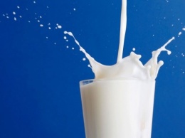 Ученые: отказ от молока снижает уровень IQ