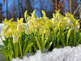 Дожди со снегом зальют большую часть Украины, но где-то будет солнечная весна