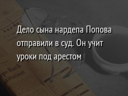 Дело сына нардепа Попова отправили в суд. Он учит уроки под арестом