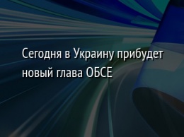 Сегодня в Украину прибудет новый глава ОБСЕ