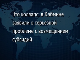 Это коллапс: в Кабмине заявили о серьезной проблеме с возмещением субсидий