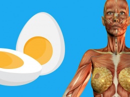9 вещей, которые будут с вашим телом, если вы начнете есть по 2 яйца на завтрак