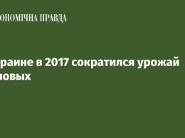 В Украине в 2017 сократился урожай зерновых