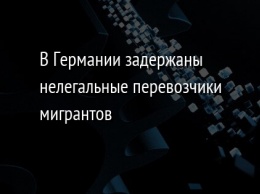 В Германии задержаны нелегальные перевозчики мигрантов