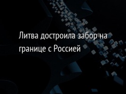 Литва достроила забор на границе с Россией