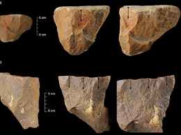 Ученые нашли в Индии невероятно древние "человеческие" орудия труда