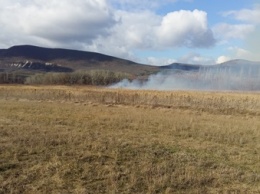 Крымские пожарные за сутки четыре раза выезжали тушить горящую траву