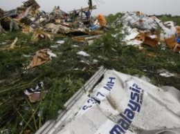 Крушение Boeing 777 на Донбассе: известны новые подробности трагедии