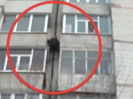 В Сумах спасли «человека-паука», который спускался между балконами с 9 этажа