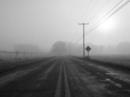 Осторожно, туман: водителей Покровска и Мирнограда просят быть более внимательными на дороге