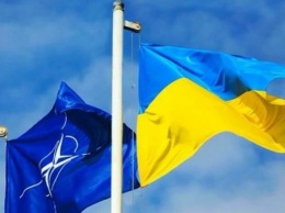 Украине посоветовали не вступать в НАТО