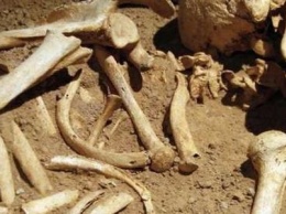 В Днепре на проспекте Поля обнаружили человеческие останки