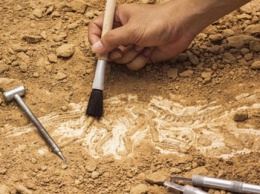 Археологи обнаружили 6000-летнего ребенка, умершего на руках у матери
