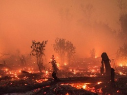 Выяснилось, что человечество пережило «огненный апокалипсис»