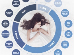 Чем занимается тело пока человек спит