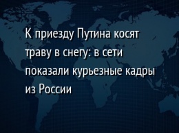 К приезду Путина косят траву в снегу: в сети показали курьезные кадры из России