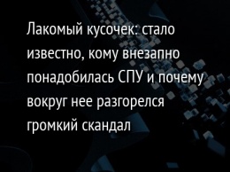 Лакомый кусочек: стало известно, кому внезапно понадобилась СПУ и почему вокруг нее разгорелся громкий скандал