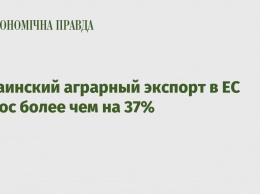 Украинский аграрный экспорт в ЕС вырос более чем на 37%