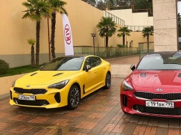 1 марта стартуют продажи бюджетных версий KIA Stinger