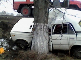 Одесская область: водитель «Жигулей» впечатался в дерево и попал в больницу