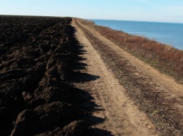 Одесская область может лишиться журавлей - фермеры распахивают заповедные земли, куда они прилетают