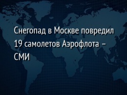 Снегопад в Москве повредил 19 самолетов Аэрофлота - СМИ