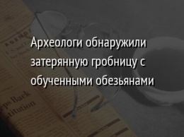 Археологи обнаружили затерянную гробницу с обученными обезьянами