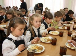 Служебное расследование тендера по организации питания: Кормить 35 тысяч николаевских школьников будут 5 поваров из Одессы
