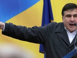 Саакашвили назвал Енина лжецом и мерзавцем
