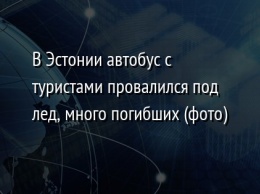 В Эстонии автобус с туристами провалился под лед, много погибших (фото)