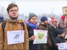 Зоозащитники Днепра снова митингуют