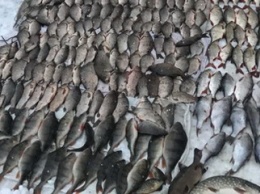 В январе изъято 1428 кг браконьерской рыбы, - Днепропетровский рыбоохранный патруль