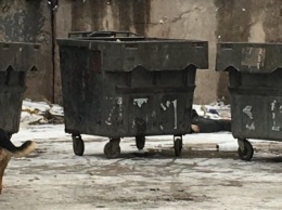 В Кривом Роге за мусорными баками обнаружили труп бездомного (ФОТО 18+)