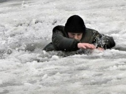 В Запорожской области рыбак провалился под лед