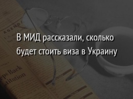 В МИД рассказали, сколько будет стоить виза в Украину