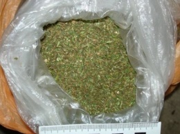 У жителя Олешек нашли пакет марихуаны