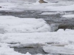 Под Запорожье парень спас провалившегося под лед пенсионера