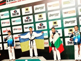 Николаевские тхэквондисты завоевали пять медалей на чемпионате в Турции