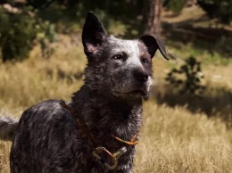 Встречаем колоритных напарников в новом трейлере Far Cry 5