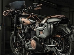 BOTK 2018: кастом Harley-Davidson Fat Max