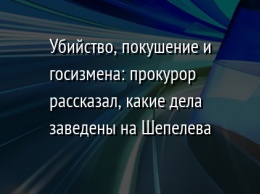 Убийство, покушение и госизмена: прокурор рассказал, какие дела заведены на Шепелева