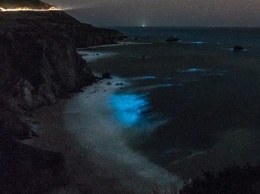 У побережья Калифорнии ночные океанские волны начали светиться. Фото