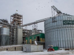 Через элеваторы «Кернел» и «Нибулон» незаконно экспортируют «черное зерно», - СМИ